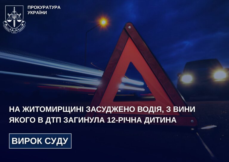 На Житомирщині засуджено водія, з вини якого в ДТП загинула 12-річна дитина