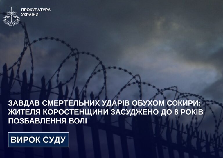 Завдав смертельних ударів обухом сокири: жителя Коростенщини засуджено до 8 років позбавлення волі