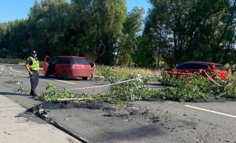 До уваги водіїв! Житомирська область: відбулося деформування та підняття дорожнього покриття