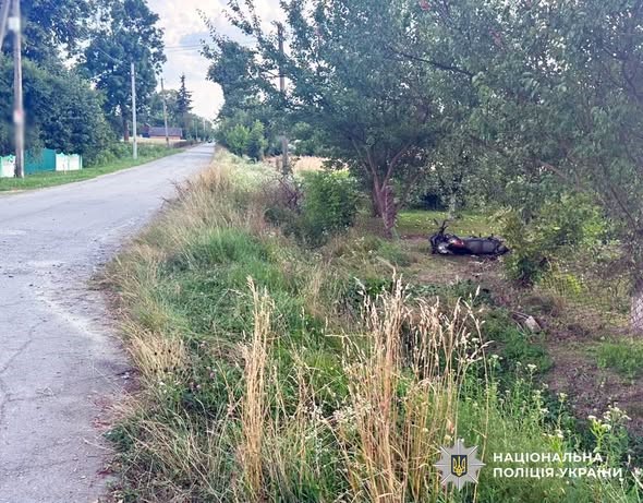 Не впорався з керуванням мотоциклом: у ДТП на Звягельщині травмувалися двоє неповнолітніх