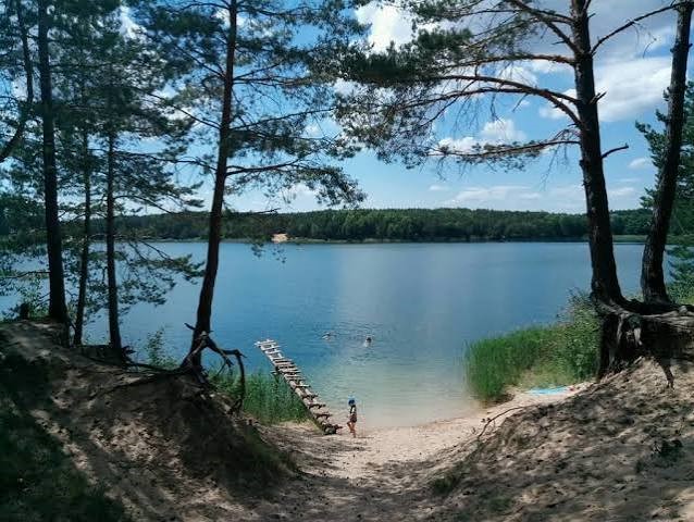 Якість води на офіційних пляжах Житомирської області станом на 26.06–03.07.2026