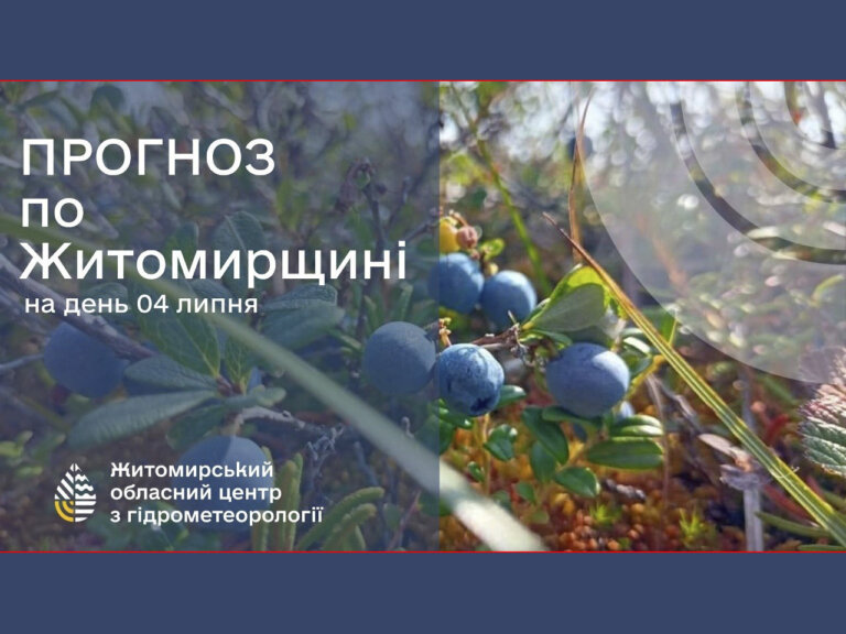 Погода сьогодні на Житомирщині