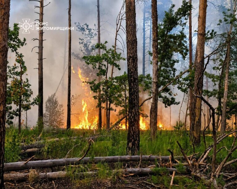 Масштабну лісову пожежу вдалося повністю ліквідувати на Житомирщині