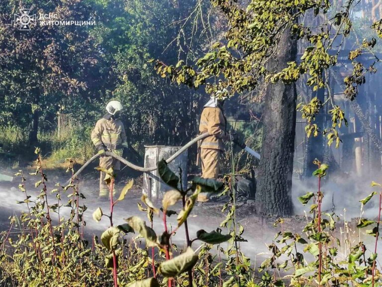 Упродовж минулої доби рятувальники Житомирщини ліквідували 7 пожеж сухої рослинності