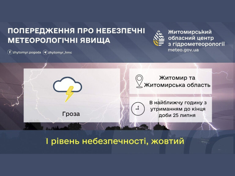 У найближчу годину з утриманням до кінця доби 25 липня у Житомирі та Житомирській області гроза
