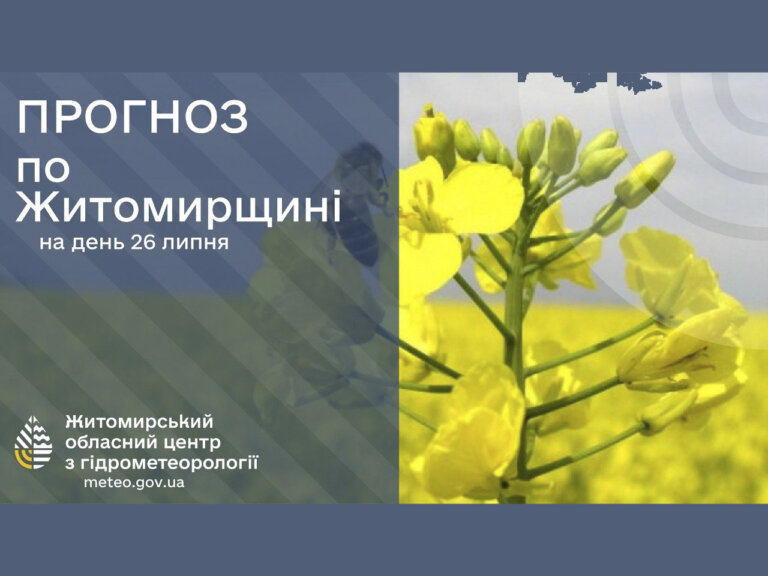 Погода сьогодні на Житомирщині
