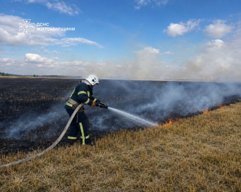 Вчора від ранку й до пізнього вечора рятувальники Житомирщини гасили суху траву в різних куточках області