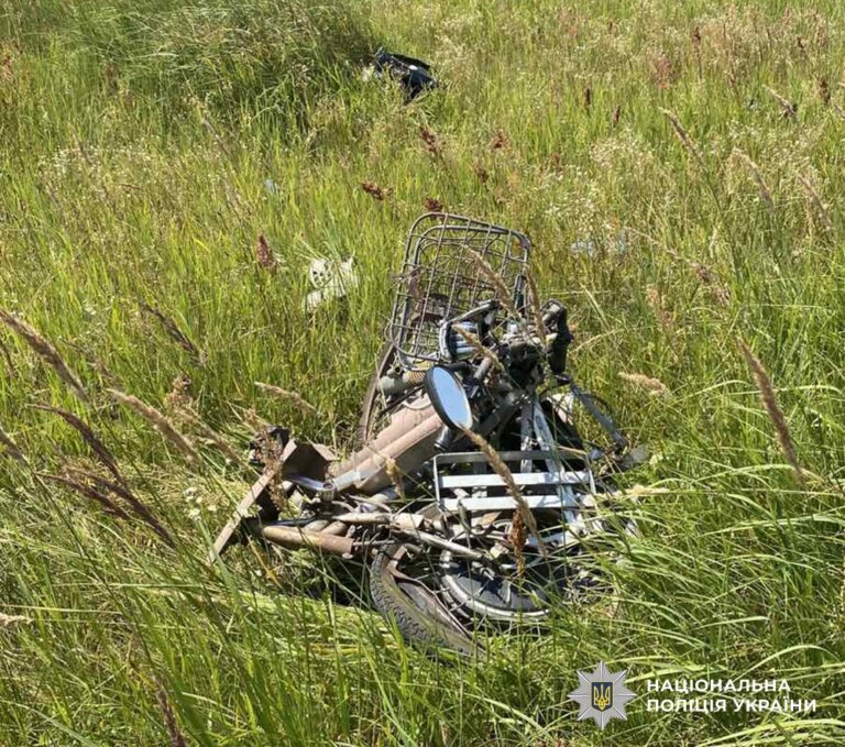 Поліцейські встановлюють обставини смертельної ДТП на Коростенщині