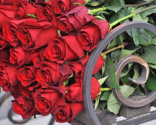 На щиті повернувся Захисник України Микола Тупіков