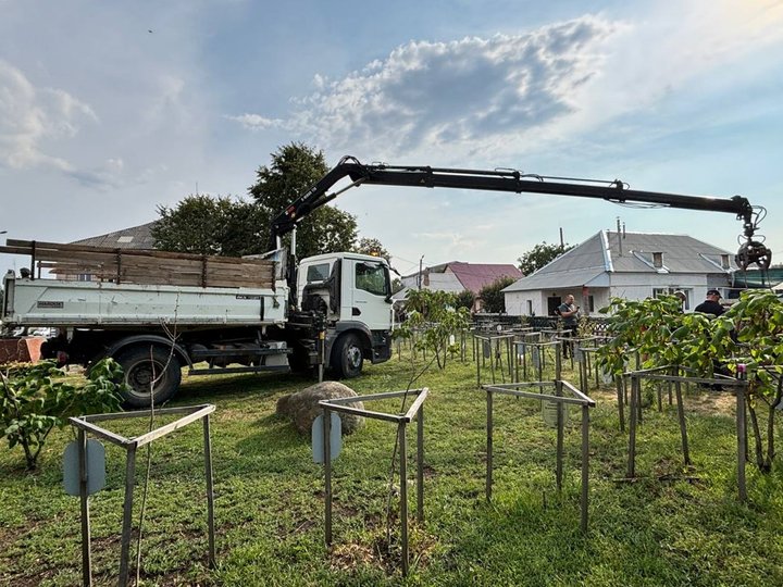 На Житомирщині корова впала в люк телефонної каналізації — тварину діставали упродовж трьох годин