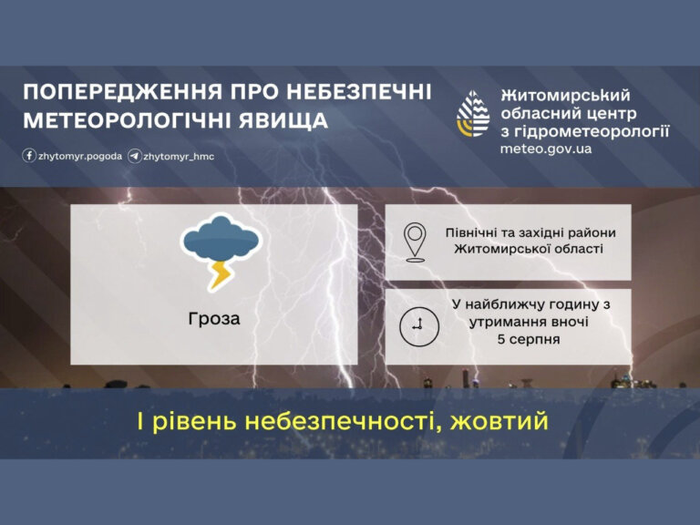 У найближчу годину з утриманням вночі 5 серпня у північних та західних районах Житомирській області гроза ( I рівень небезпечності, жовтий)!