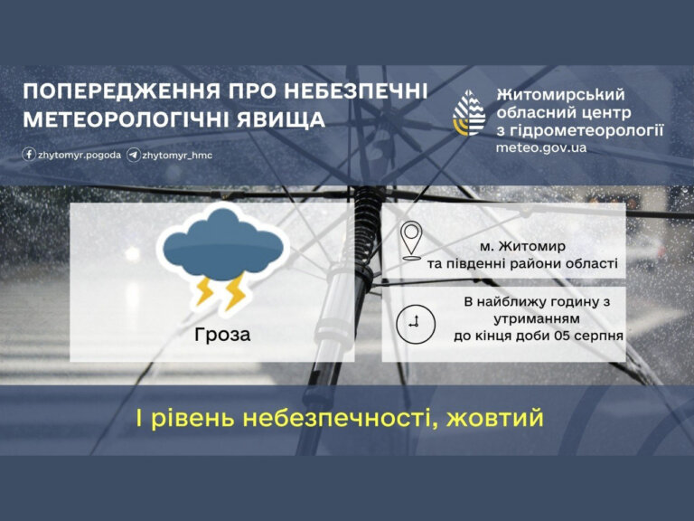 У найближчу годину з утриманням до кінця доби 5 серпня у м. Житомирі та південних районах області гроза ( I рівень небезпечності, жовтий)!