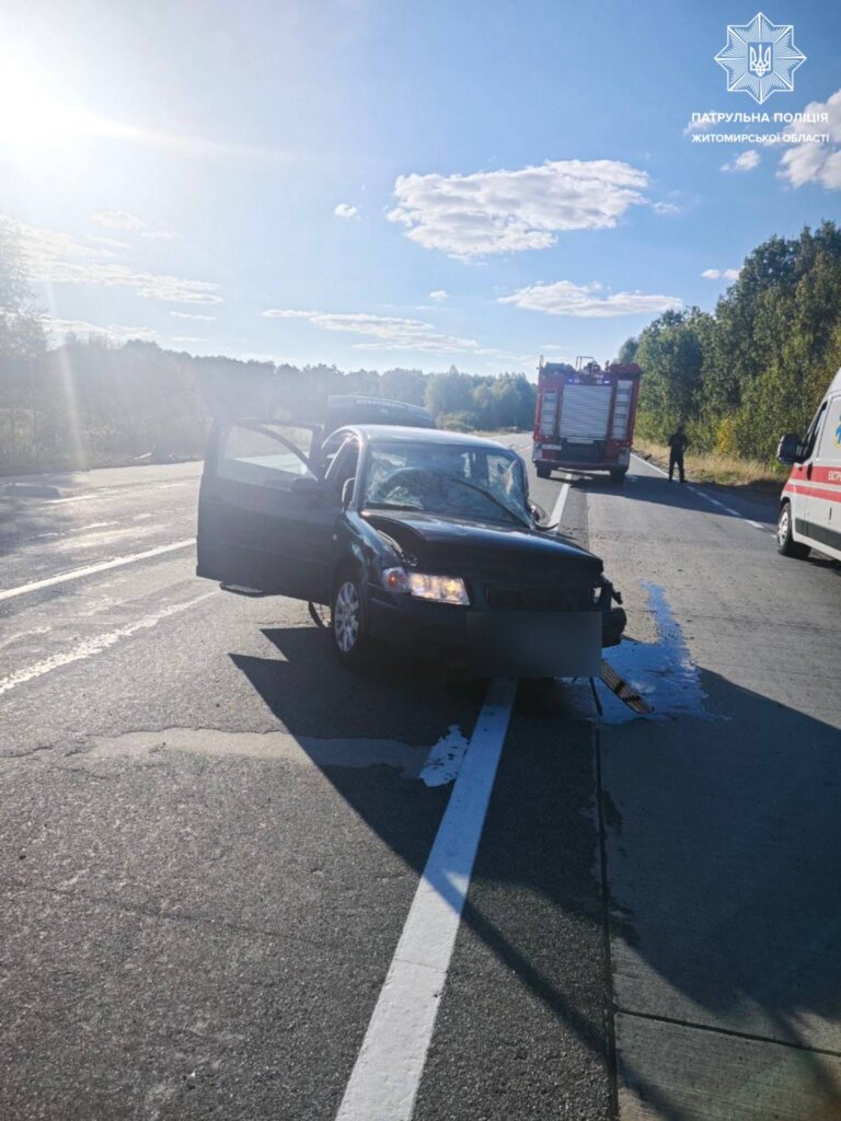 На 100 км автодороги М-07 поблизу с. Різня відбулася ДТП