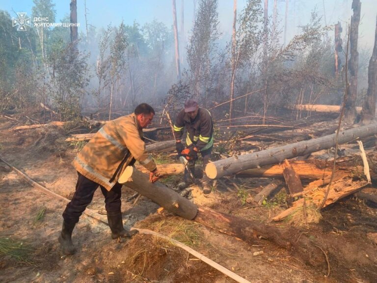 На Коростенщині локалізовано лісову пожежу на території природного заповідника «Древлянський»
