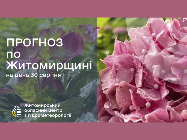 Погода сьогодні на Житомирщині