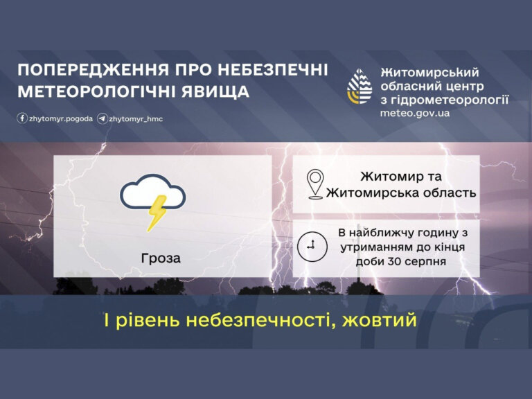 В найближчу годину з утриманням до кінця доби 30 серпня у Житомирській області та місті Житомирі гроза (І рівень небезпечності – жовтий) – Житомирський обласний центр з гідрометеорології