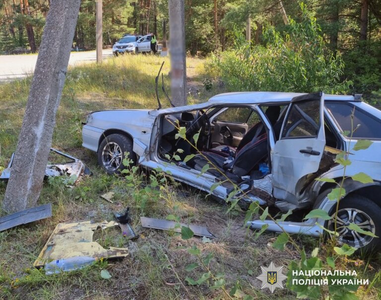Малинські поліцейські встановлюють обставини травмування водія та пасажирки в ДТП