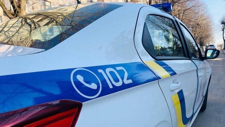 Жителю Житомирщини загрожує до 8 років позбавлення волі за вбивство собаки