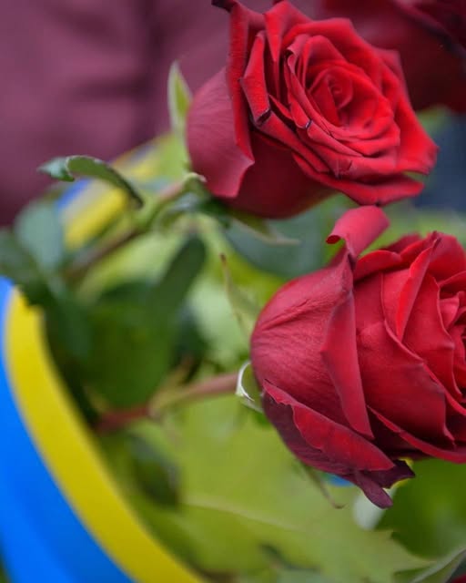 На щиті повернувся Захисник України Андрій Малянов