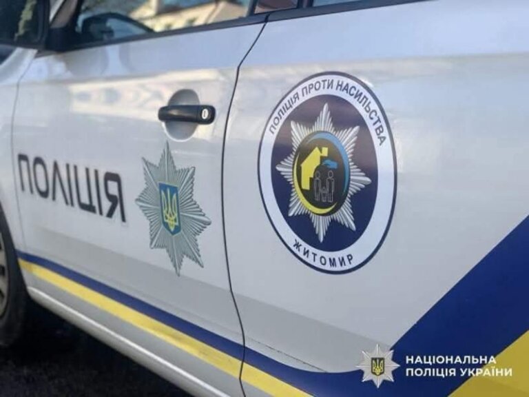 Систематично кривдив свою матір: житомирські поліцейські відправили на лаву підсудних причетного