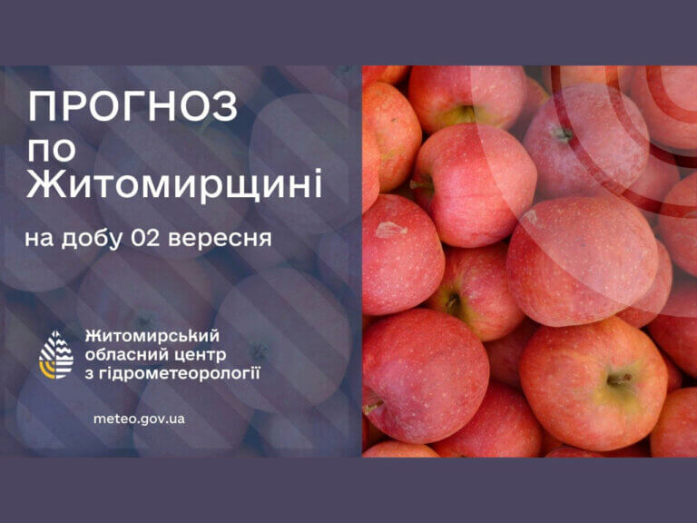 Завтра буде тепла погода майже без опадів