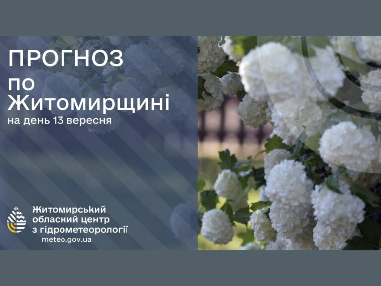 Сьогодні у Житомирі холодно, але майже без дощів