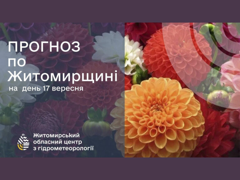Погода сьогодні на Житомирщині