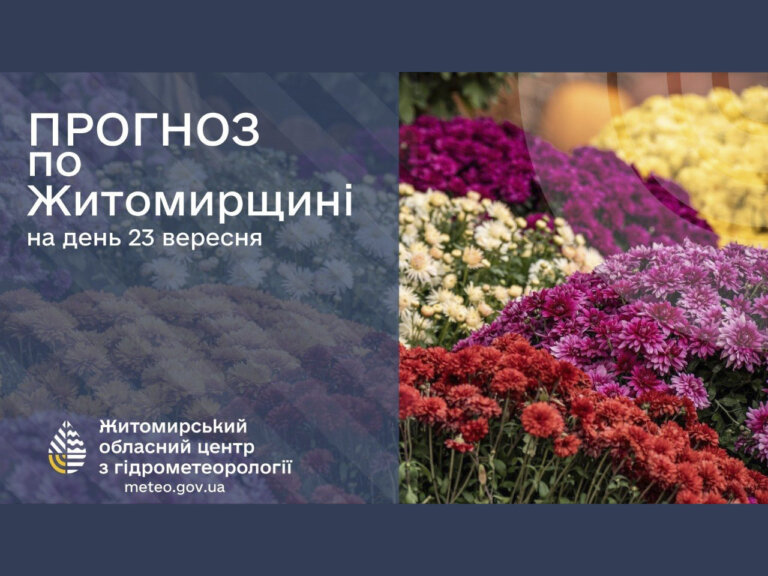 Сьогодні на Житомирщині: холодно та з дощем