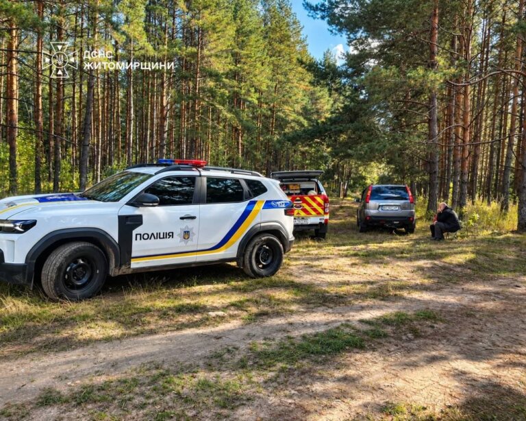 Рятувальники долучилися до пошуків 74-річного чоловіка поблизу села Кварцитне