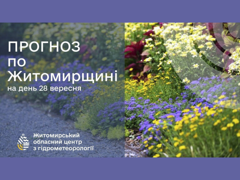 Погода сьогодні на Житомирщині