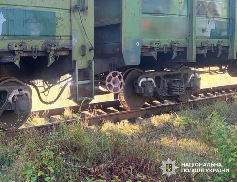 Коростенська поліція встановлює обставини смертельного травмування містянки на залізниці