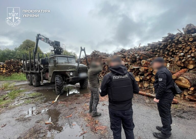 Понад 8800 незаконно зрубаних дерев на Житомирщині та 33 млн грн шкоди: екологічні прокурори повідомили про підозру чотирьом особам