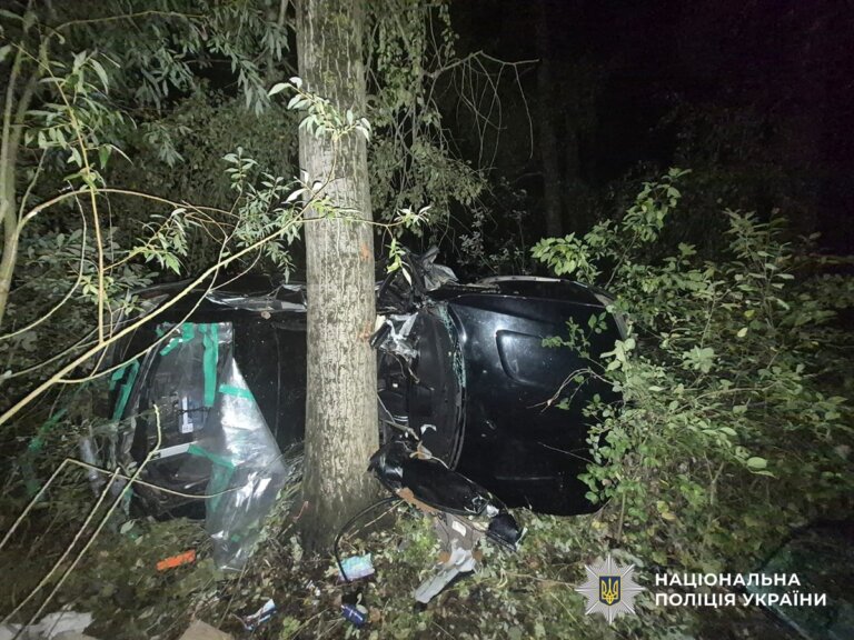 Поліцейські розслідують загибель водія в ДТП у Житомирському районі