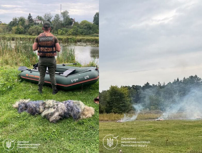 На Житомирщині ДЕІ Поліського округу під час рейдів вилучила 420 метрів браконьєрських сіток та притягнула порушників до відповідальності
