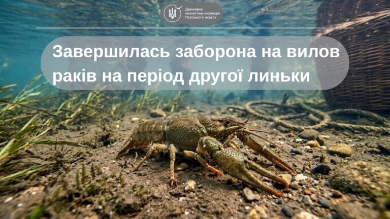 З 1 жовтня завершилася сезонна заборона на вилов раків